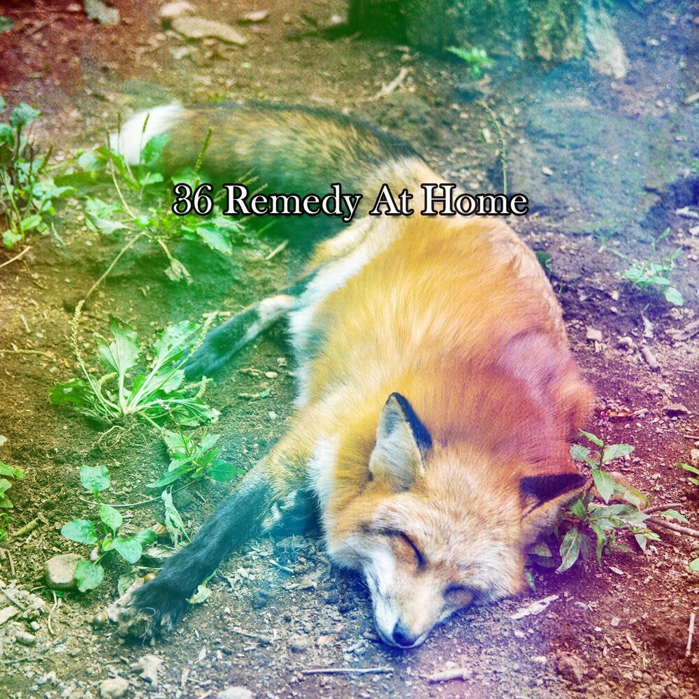 Picture of 36 Remedy At Home