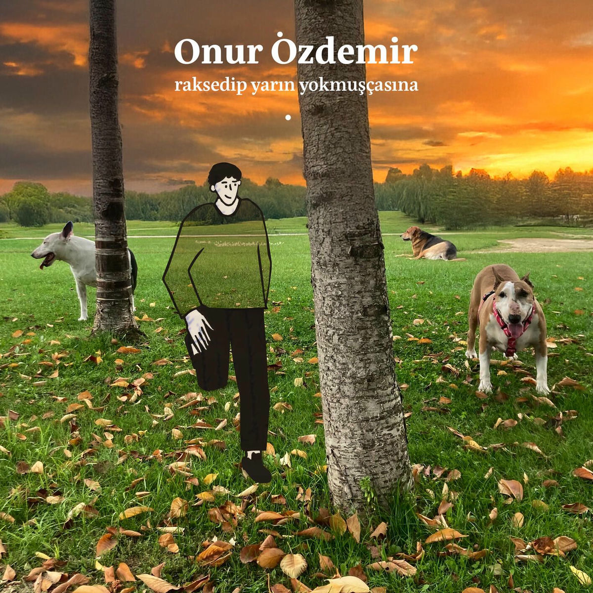 Album cover of Seninle