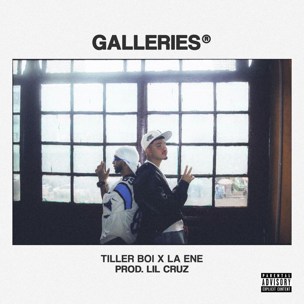 Picture of Galleries