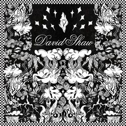 Cover of David Shaw