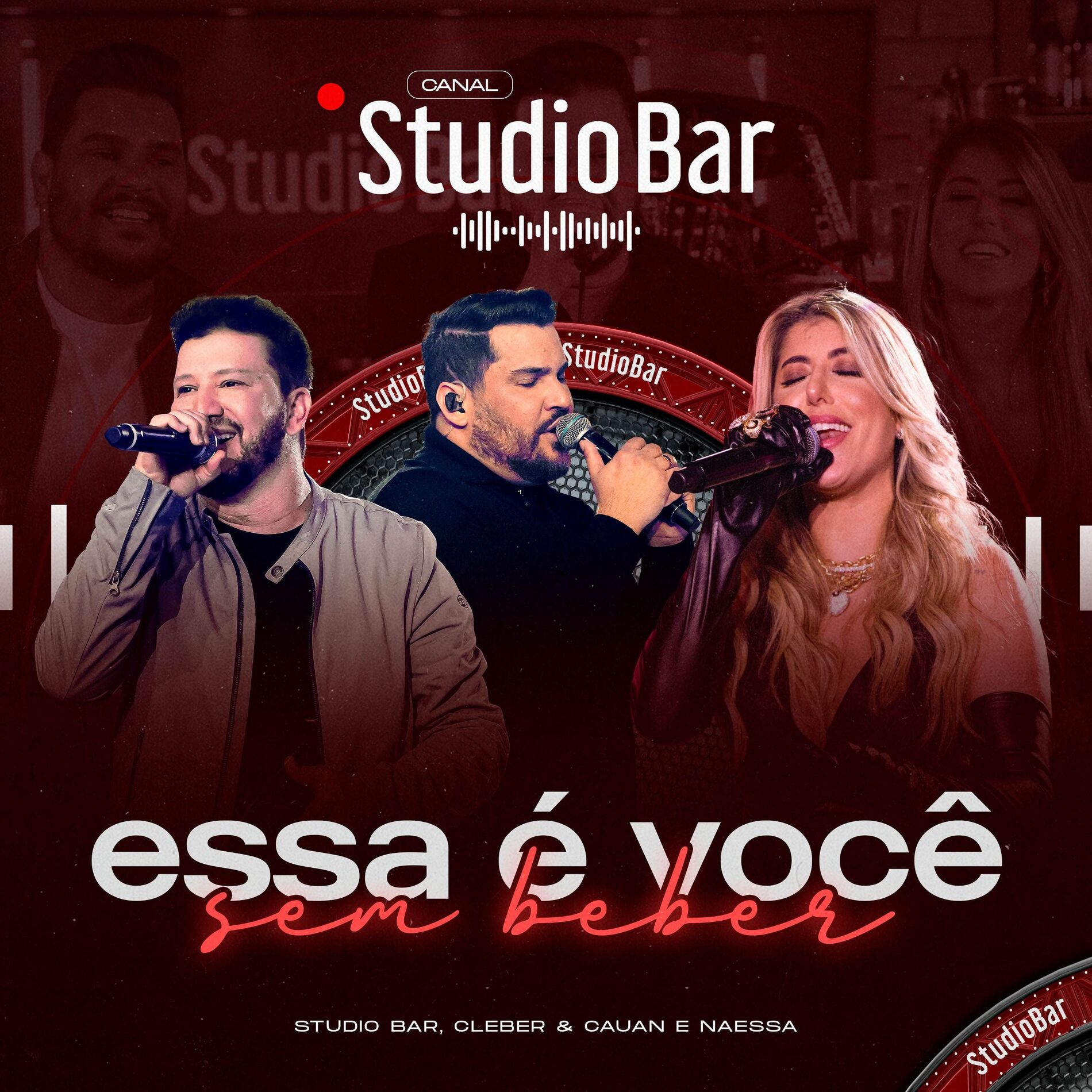 Album cover of Essa é Você Sem Beber
