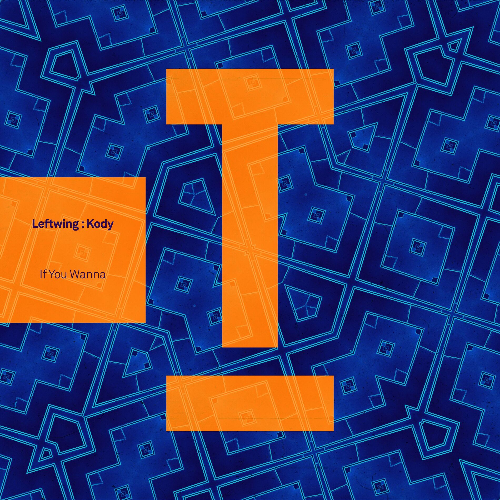 Album cover of If You Wanna
