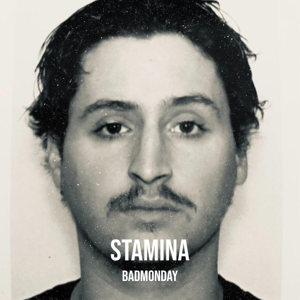 Album cover of Stamina