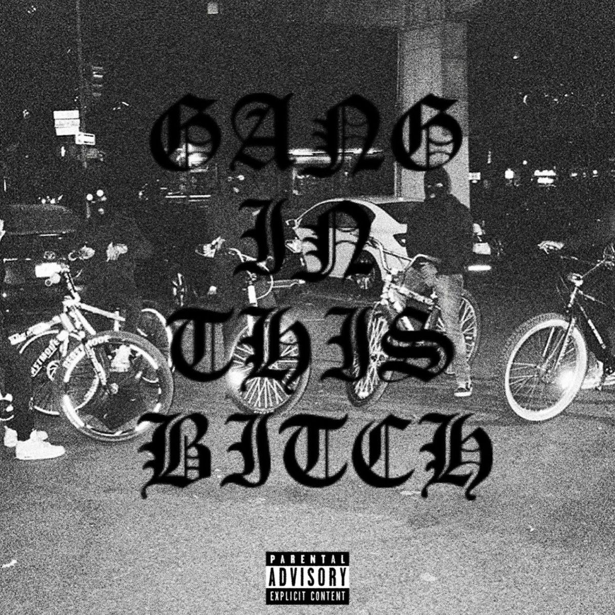 Album cover of GANG IN THIS BITCH