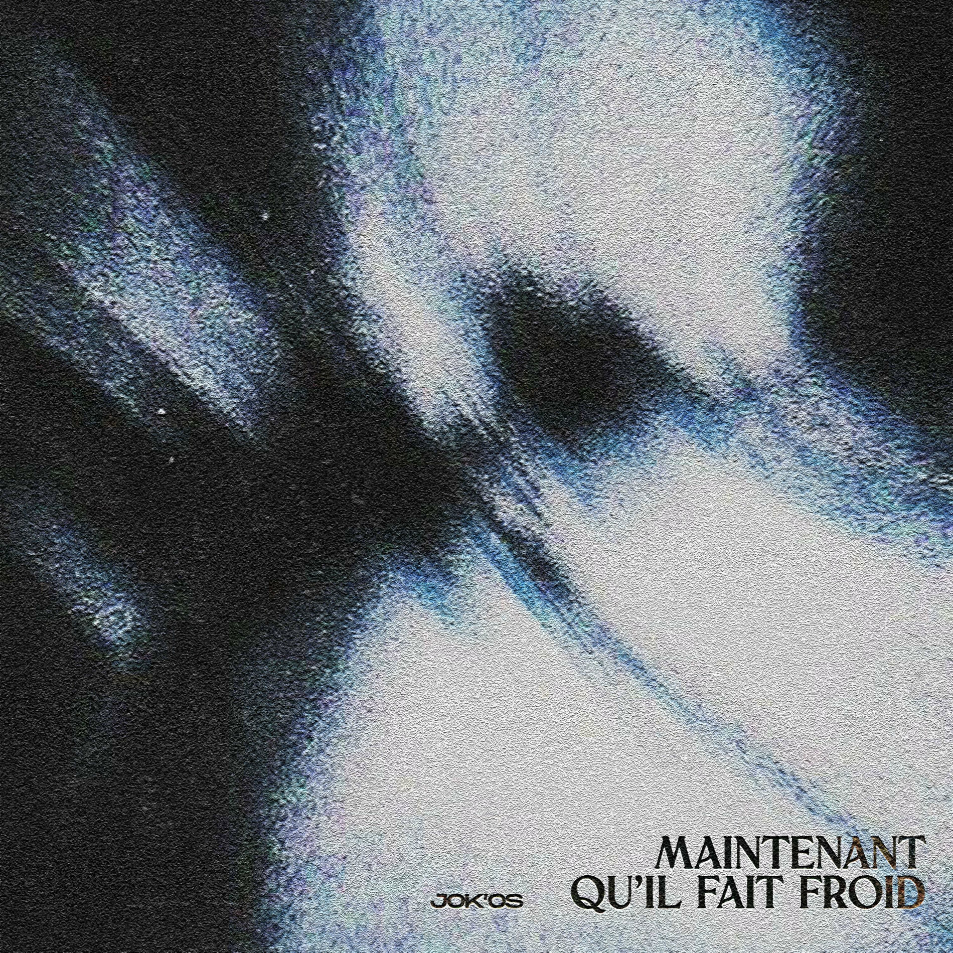 Album cover of Maintenant qu'il fait froid
