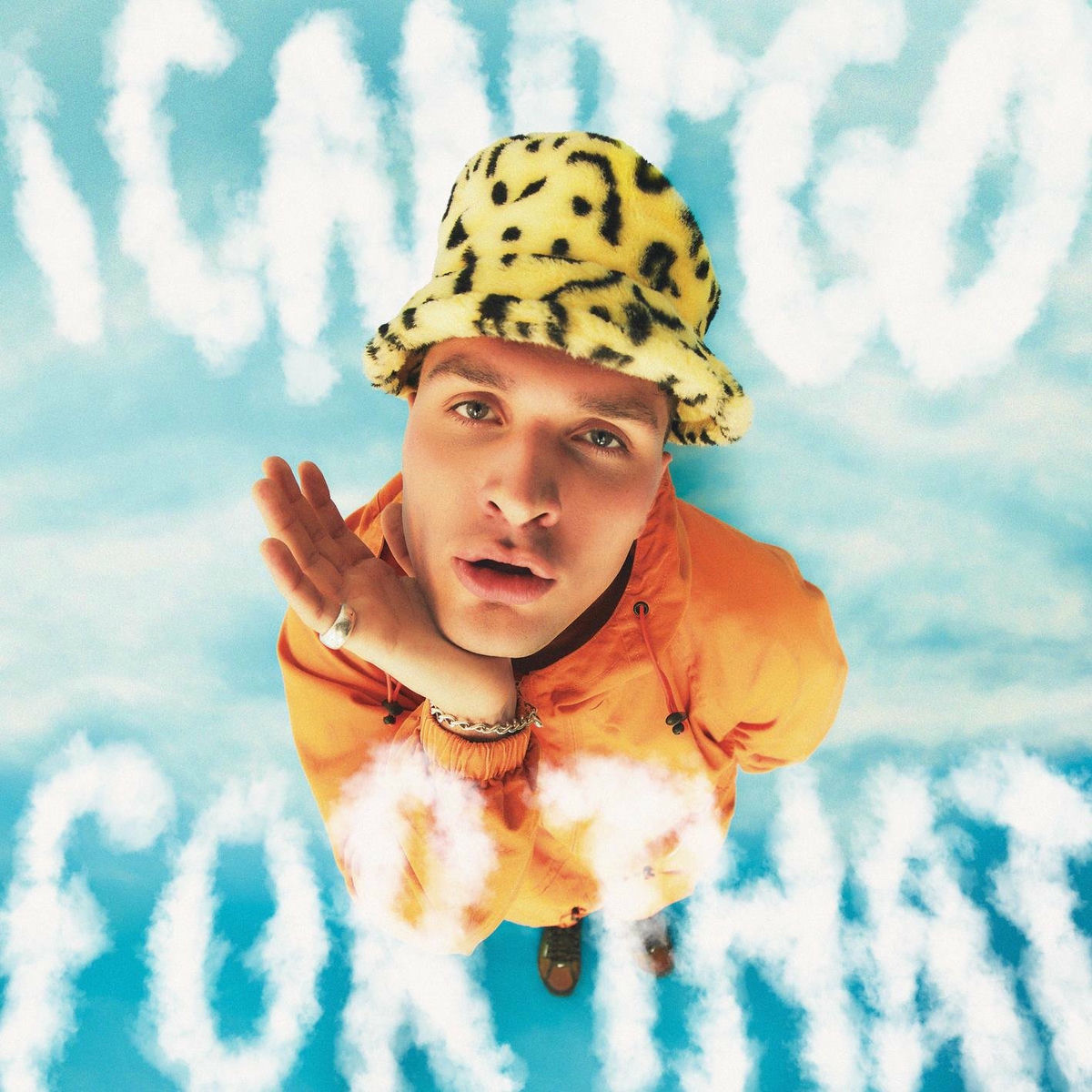 Album cover of I Can't Go for That (No Can Do)