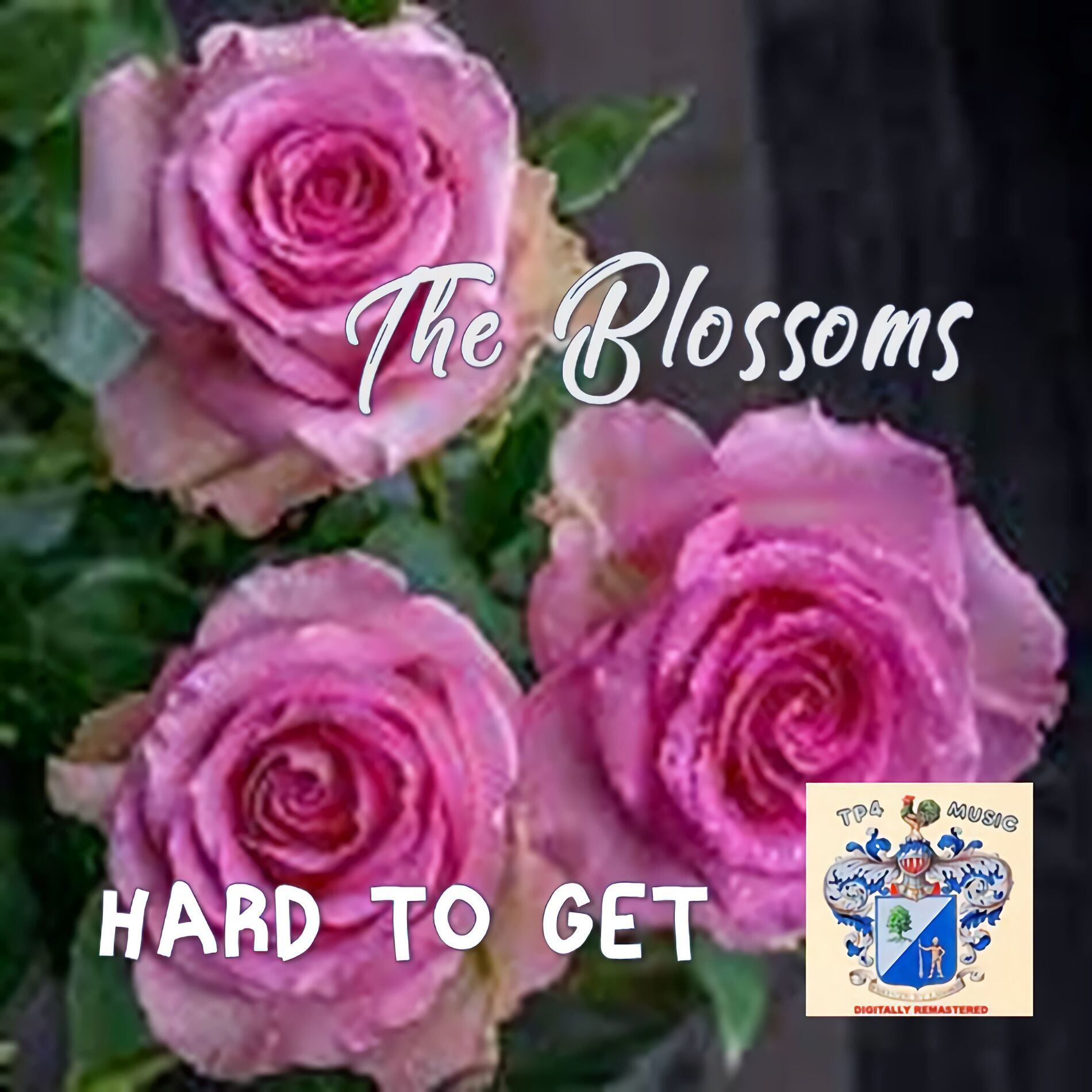 Album cover of Hard to Get