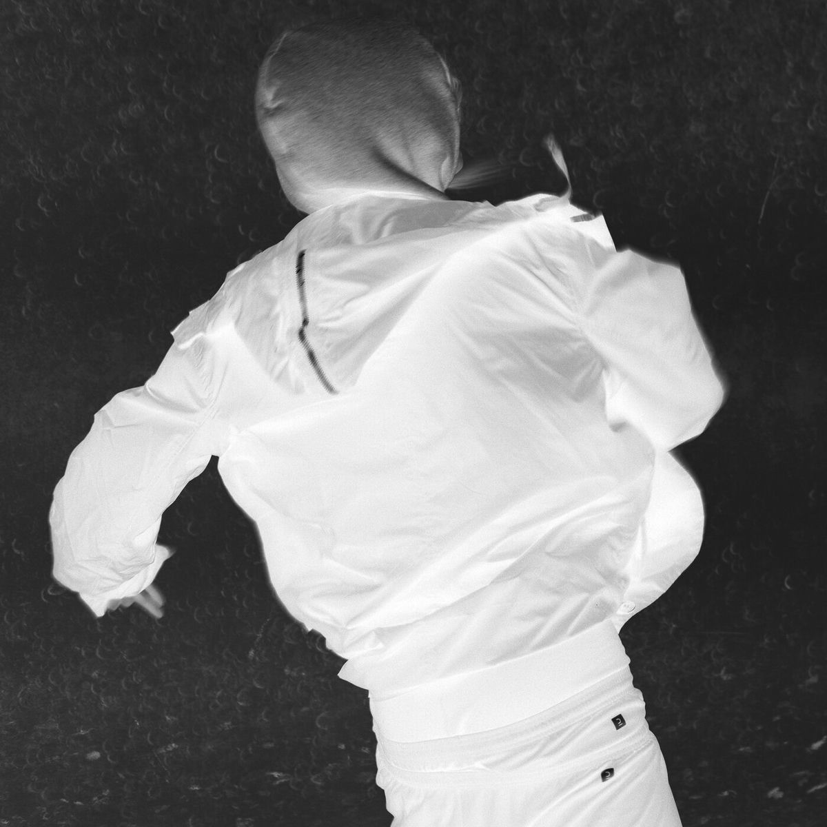 Album cover of Zäune