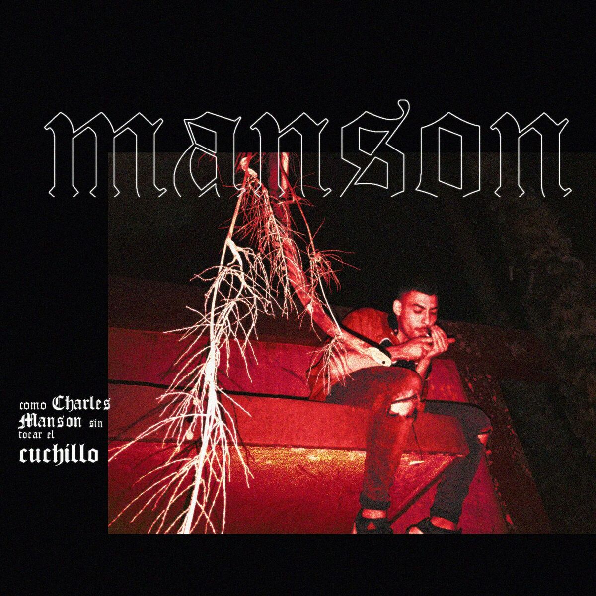 Album cover of Manson