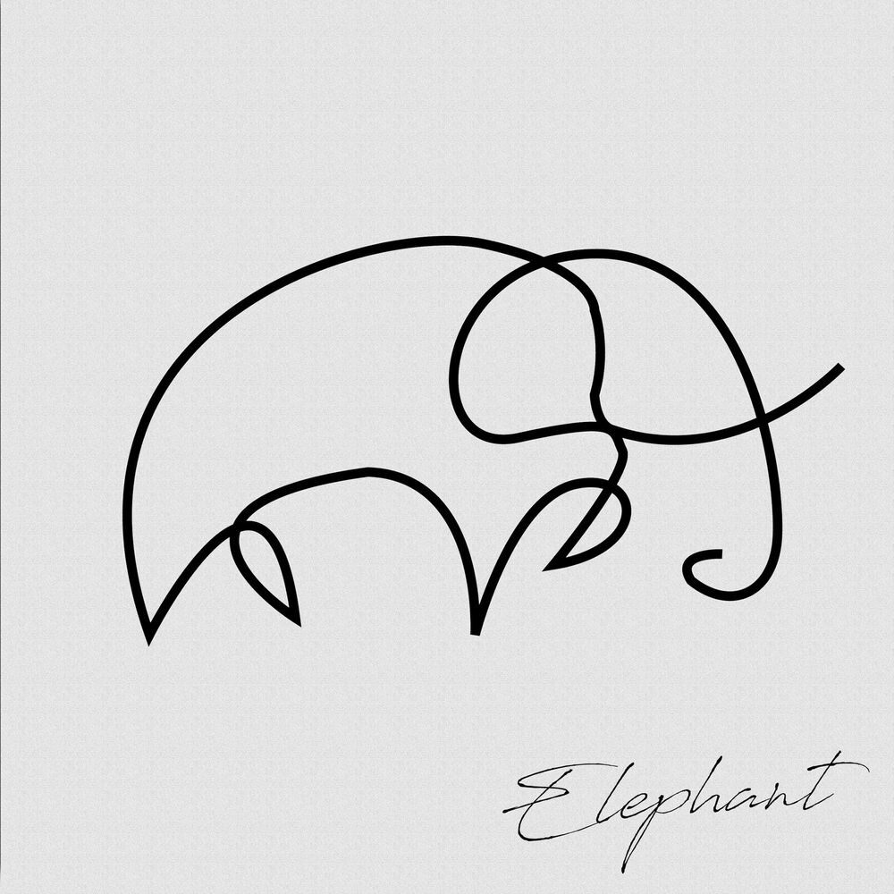 Picture of Elephant