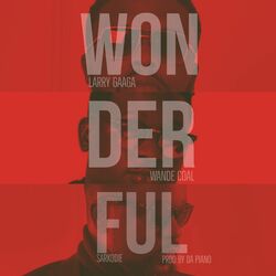 Cover of Wonderful