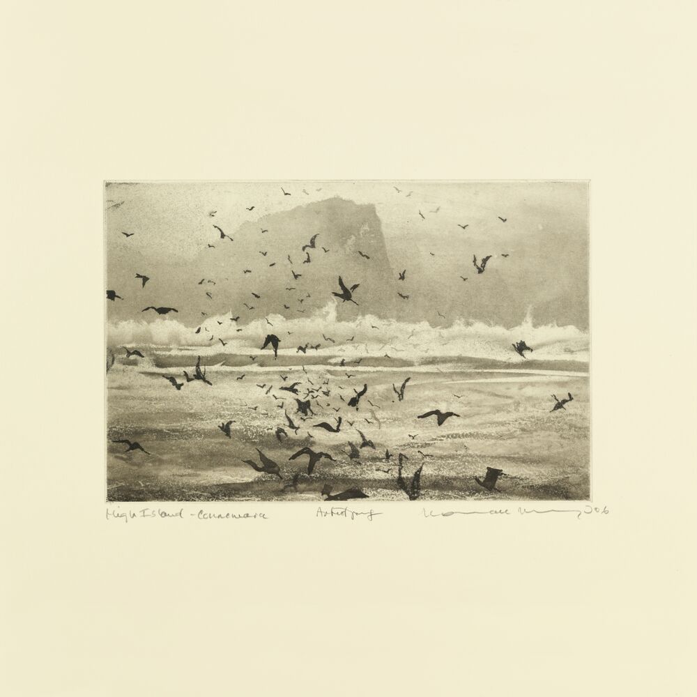 Picture of Murmuration