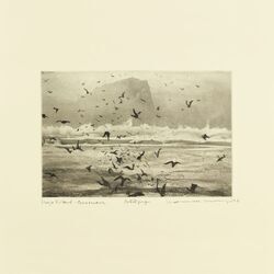 Cover of Murmuration