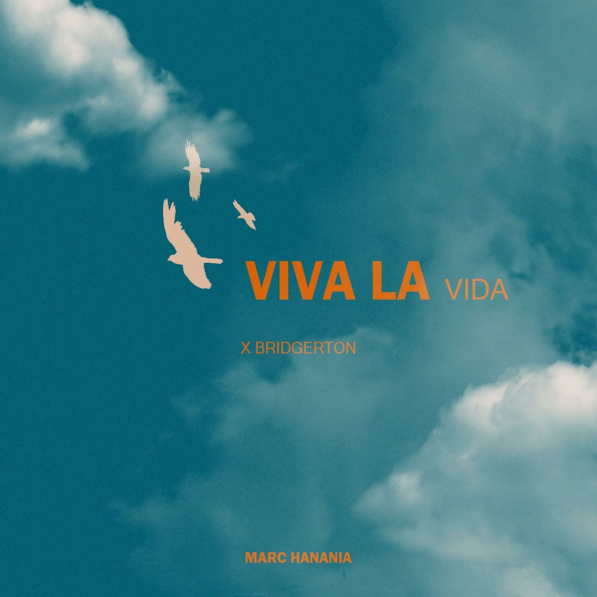 Album cover of Viva la vida (Violin Orchestra)