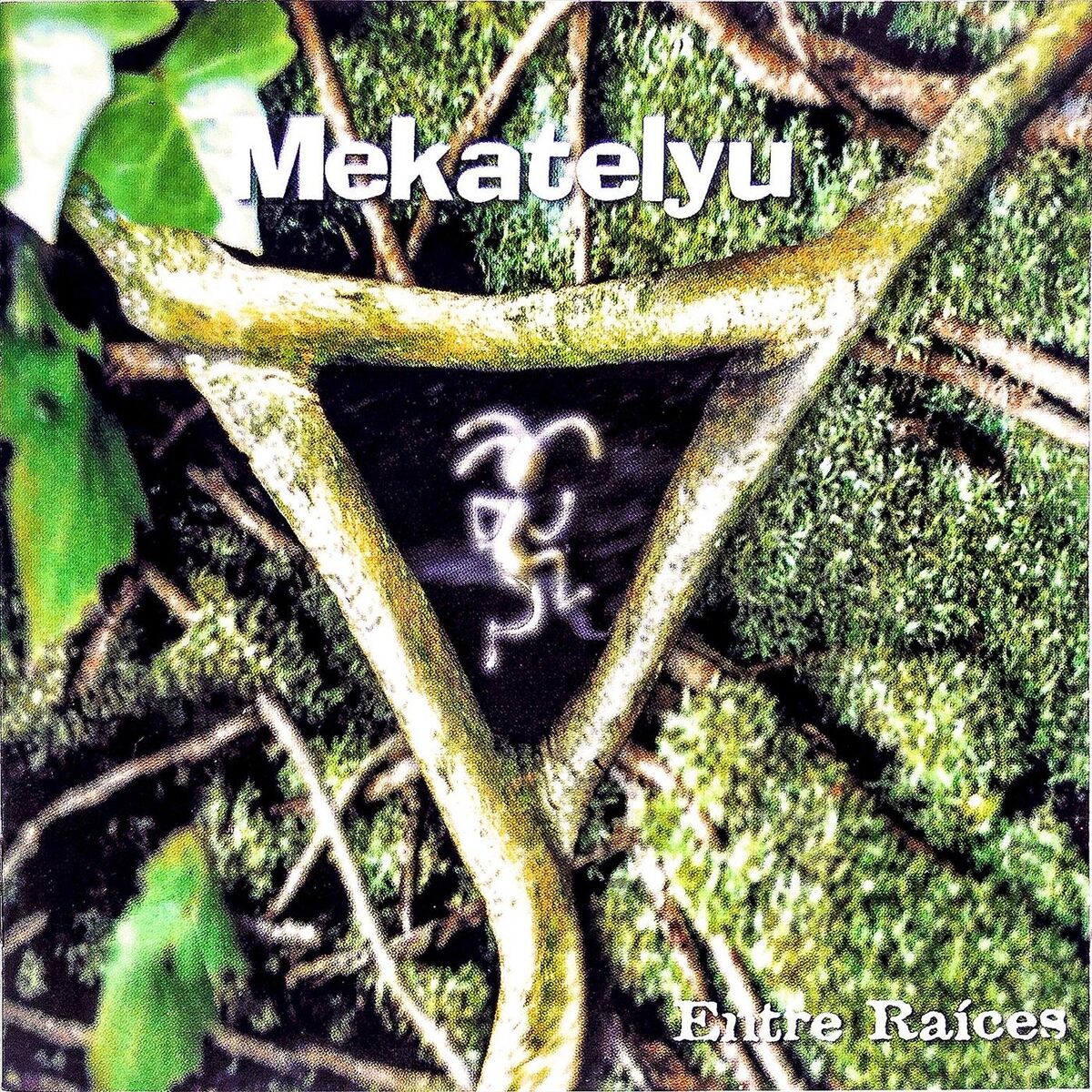 Album cover of Entre Raices