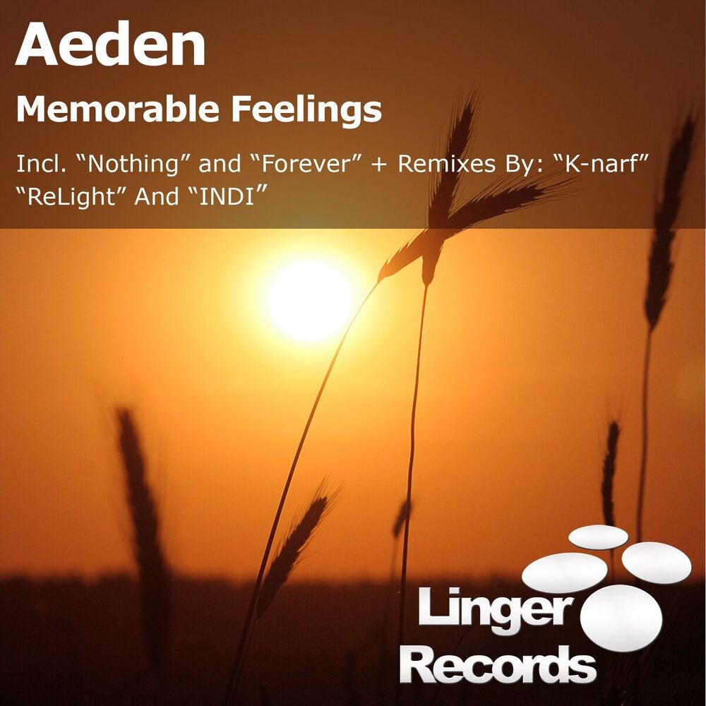Picture of Memorable Feelings