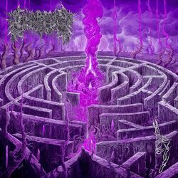 Cover of Maze Envy
