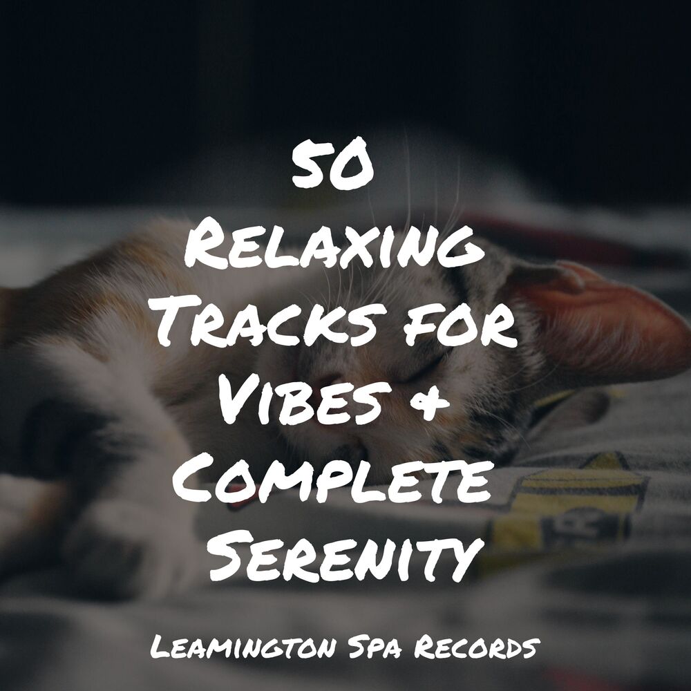 Picture of 50 Relaxing Tracks for Vibes & Complete Serenity