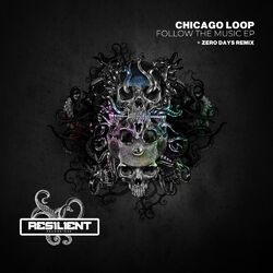 Cover of Follow The Music