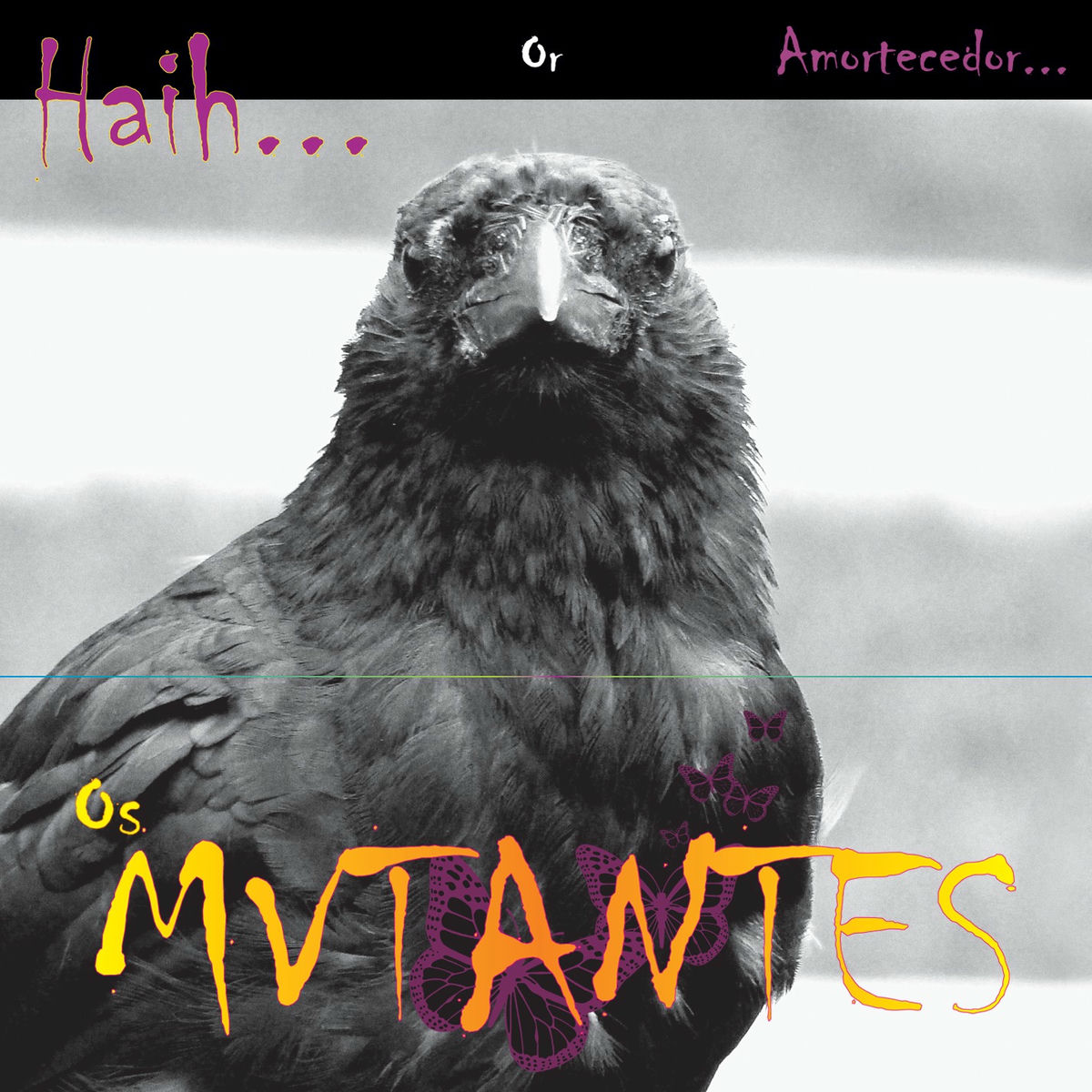 Album cover of Haih or Amortecedor