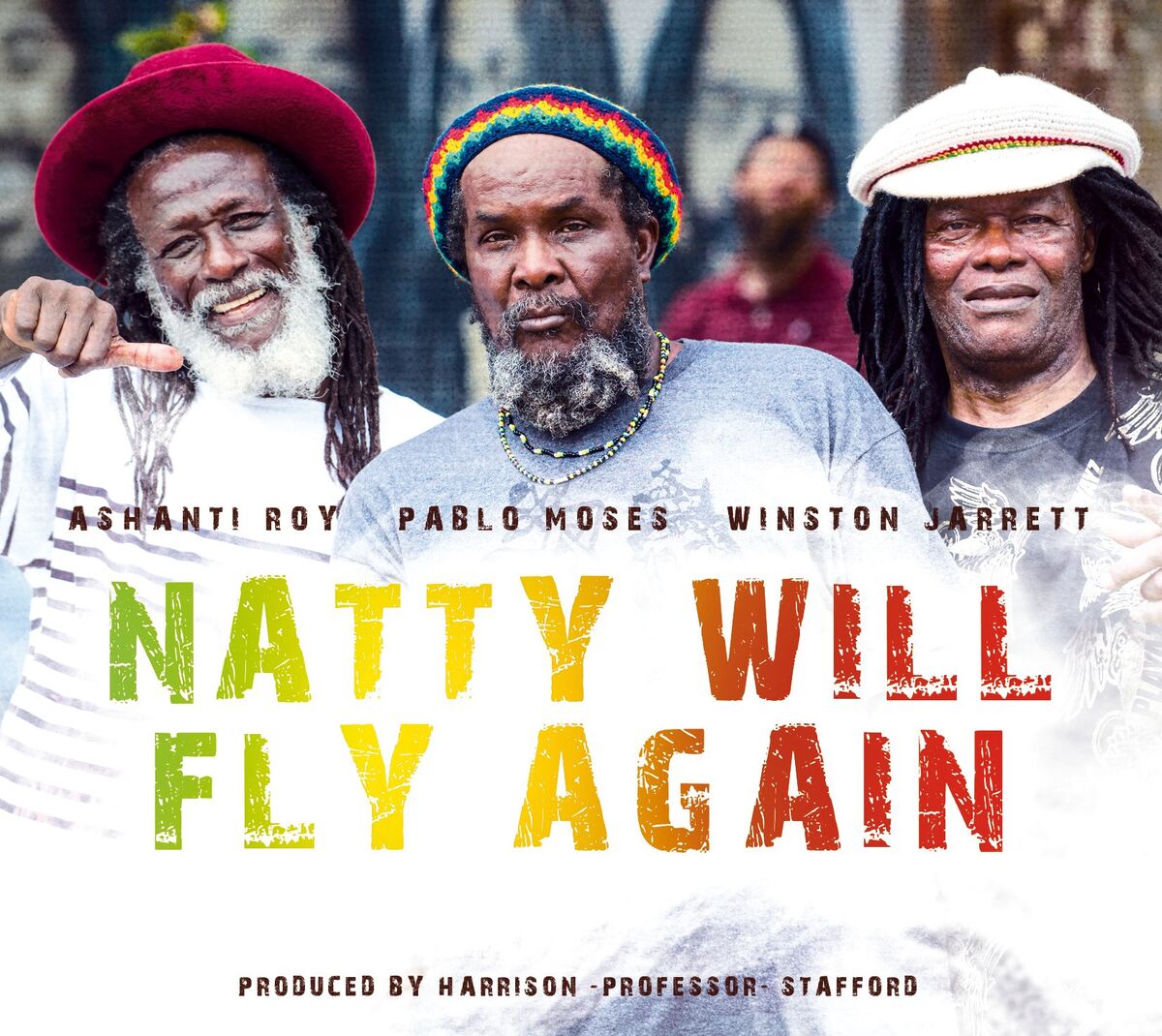 Album cover of Natty Will Fly Again