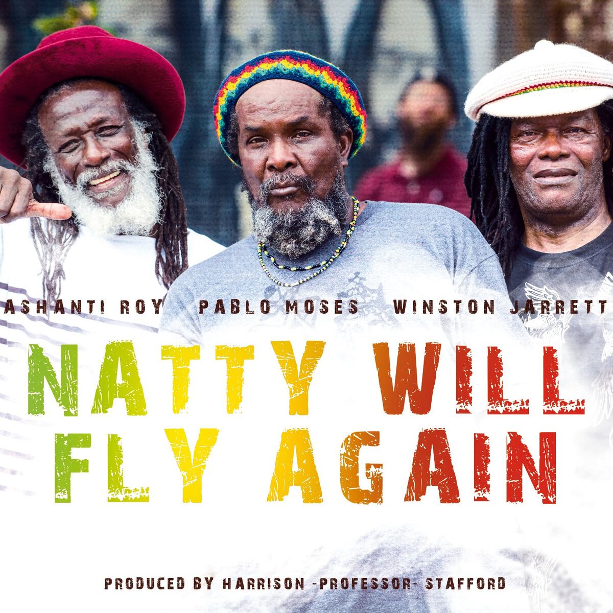 Album cover of Natty Will Fly Again