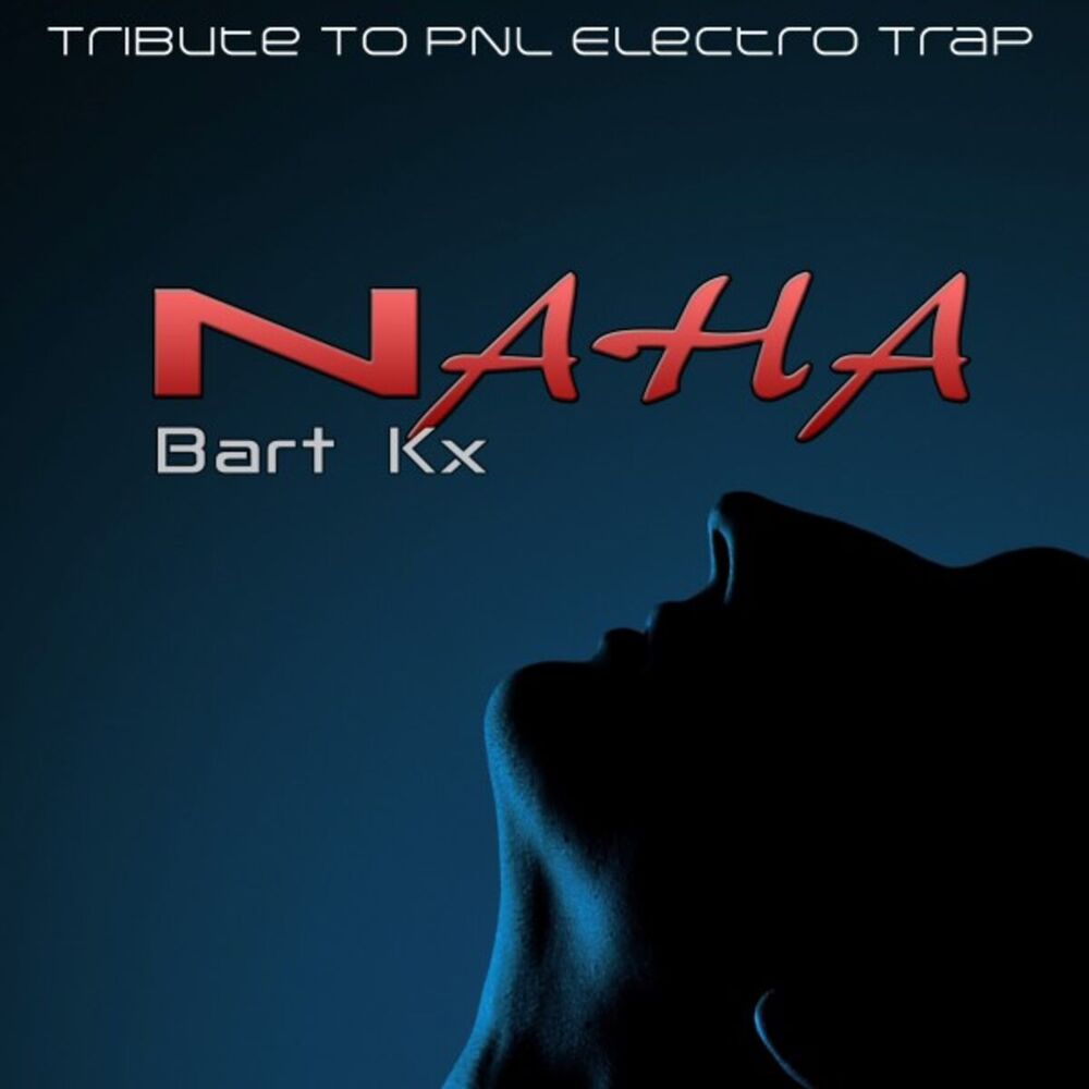 Picture of Naha (Tribute to Pnl Electro Trap)