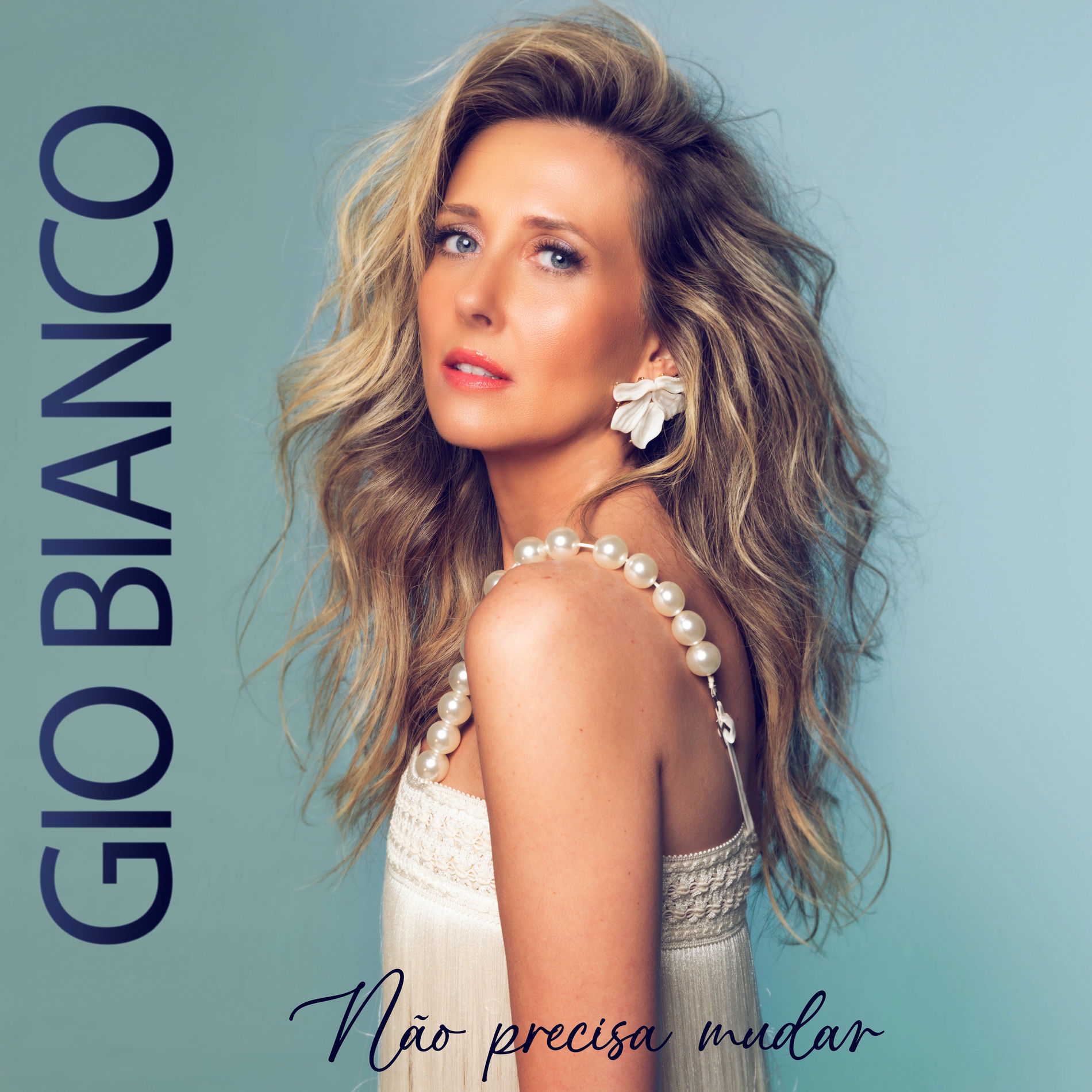 Album cover of Não Precisa Mudar