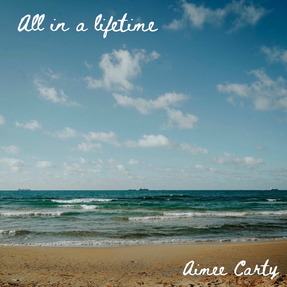 Album cover of All In A Lifetime