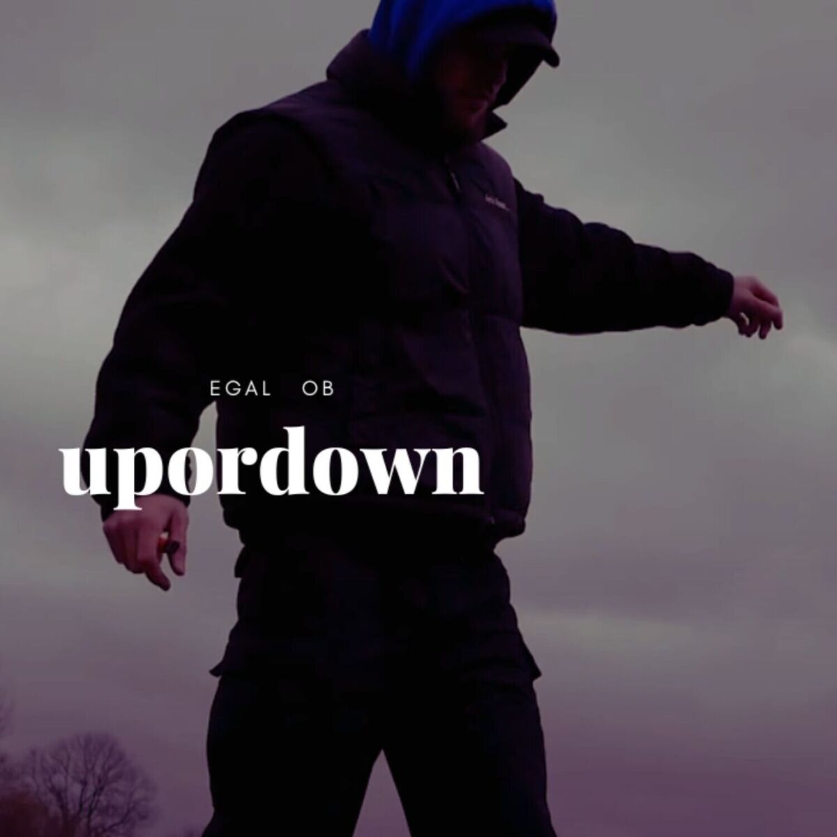 Album cover of Up Or Down
