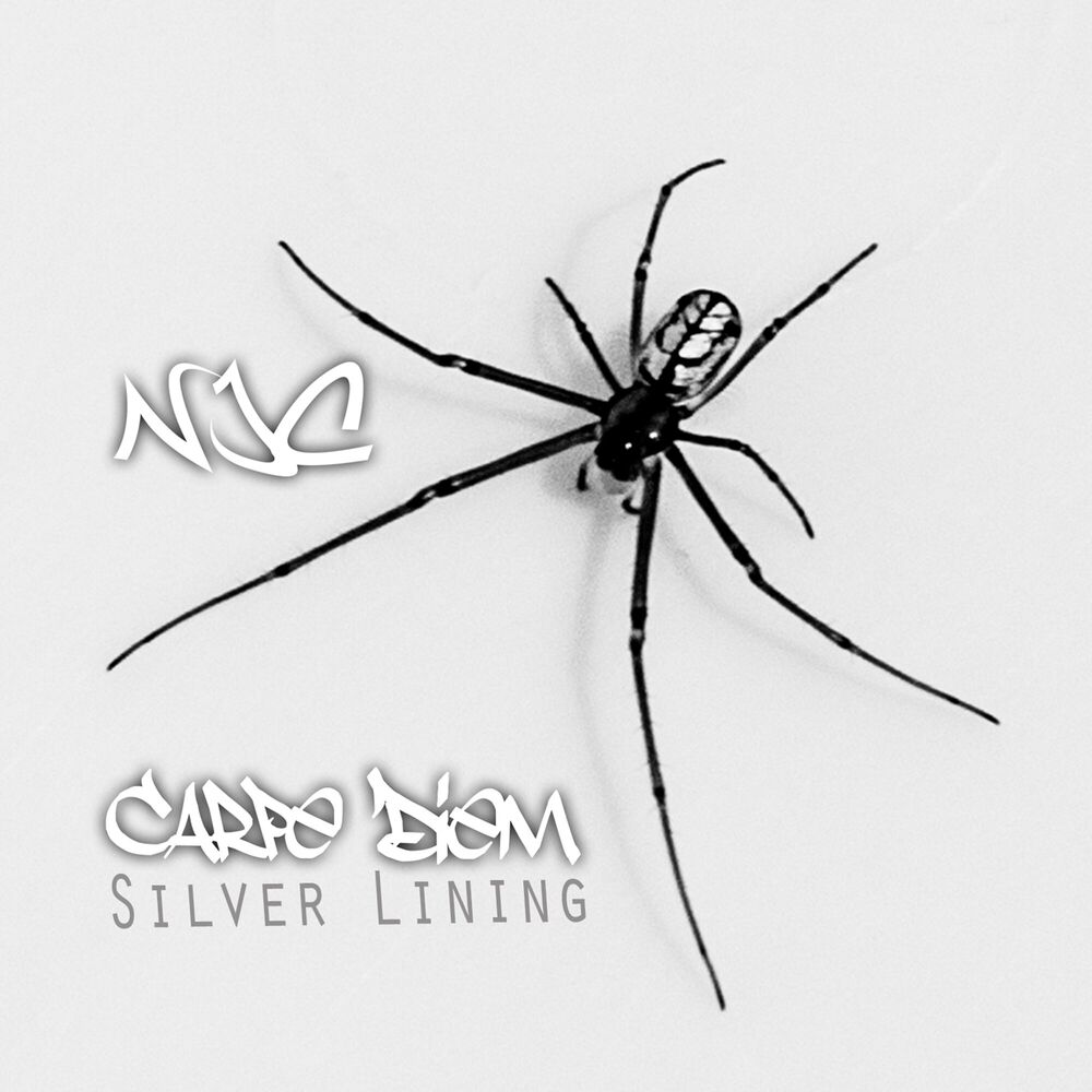 Picture of Carpe Diem Silver Lining