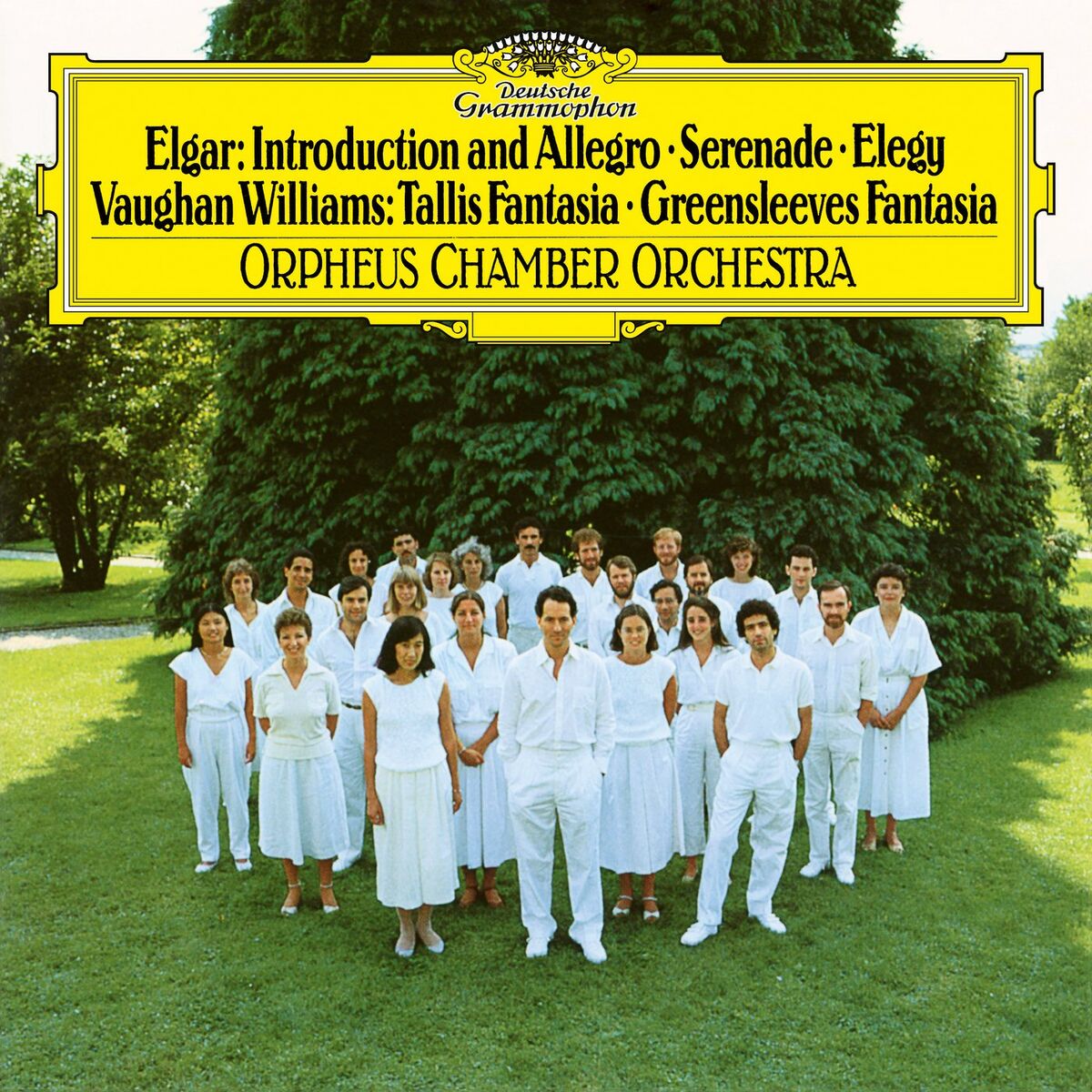 Album cover of Elgar: Serenade For Strings; Elegy; Vaughan Williams: Fantasia On A Theme By Thomas Tallis; Fantasia On Greensleeves; Purcell: Cia