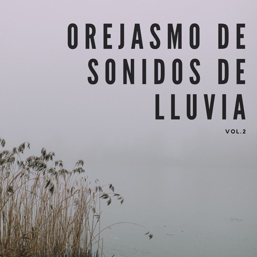 Picture of Orejasmo De Sonidos De Lluvia Vol. 2