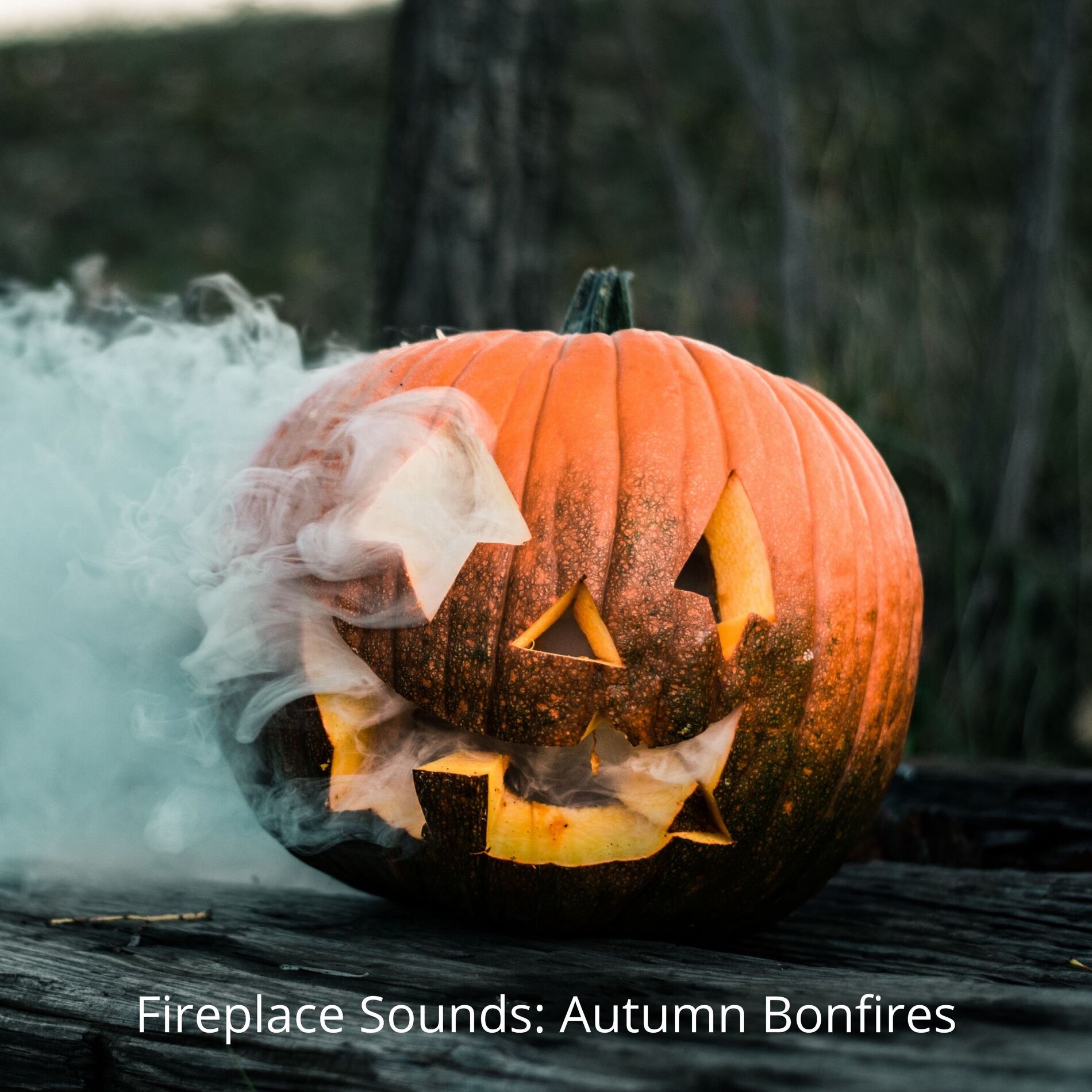 Album cover of Fireplace Sounds: Autumn Bonfires