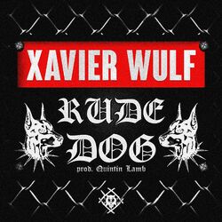 Cover of RUDE DOG