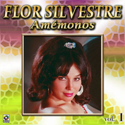 Cover of Colección De Oro: Con Mariachi – Vol. 1, Amémonos