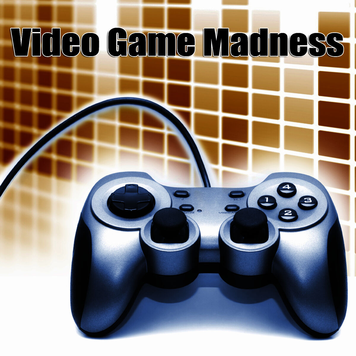 Album cover of Video Game Madness