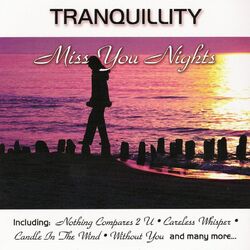 Cover of Miss You Nights