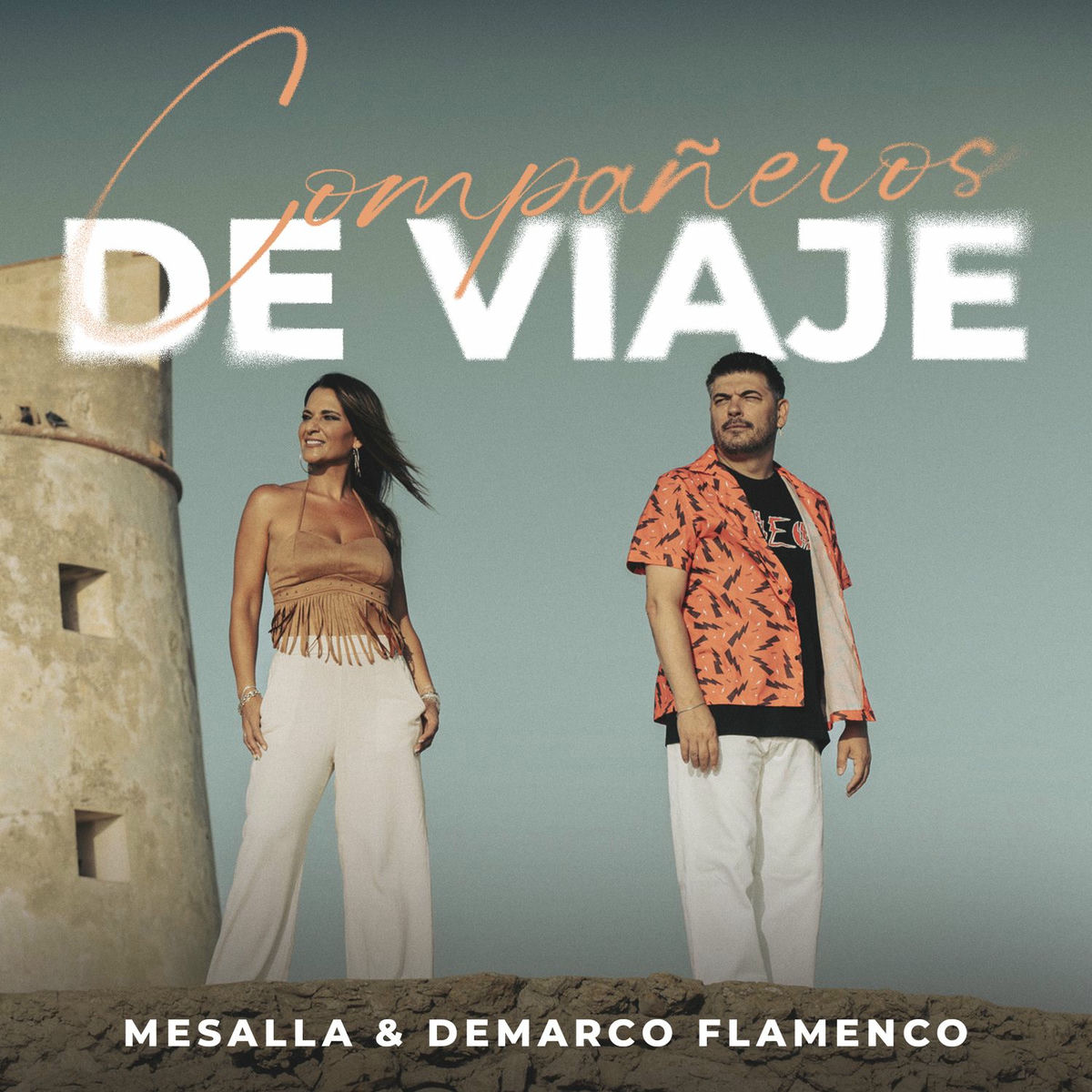 Album cover of Compañeros de viaje