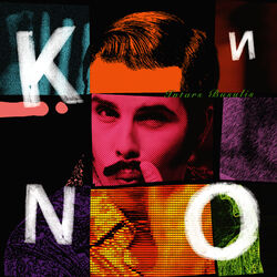Cover of Kino