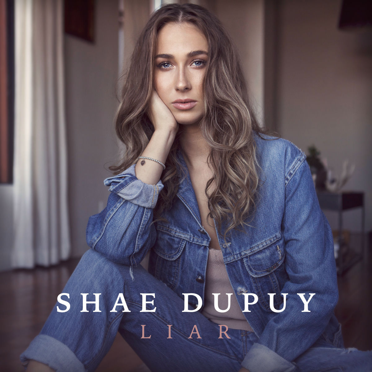 Album cover of Liar