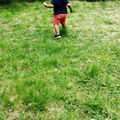 April's Child
