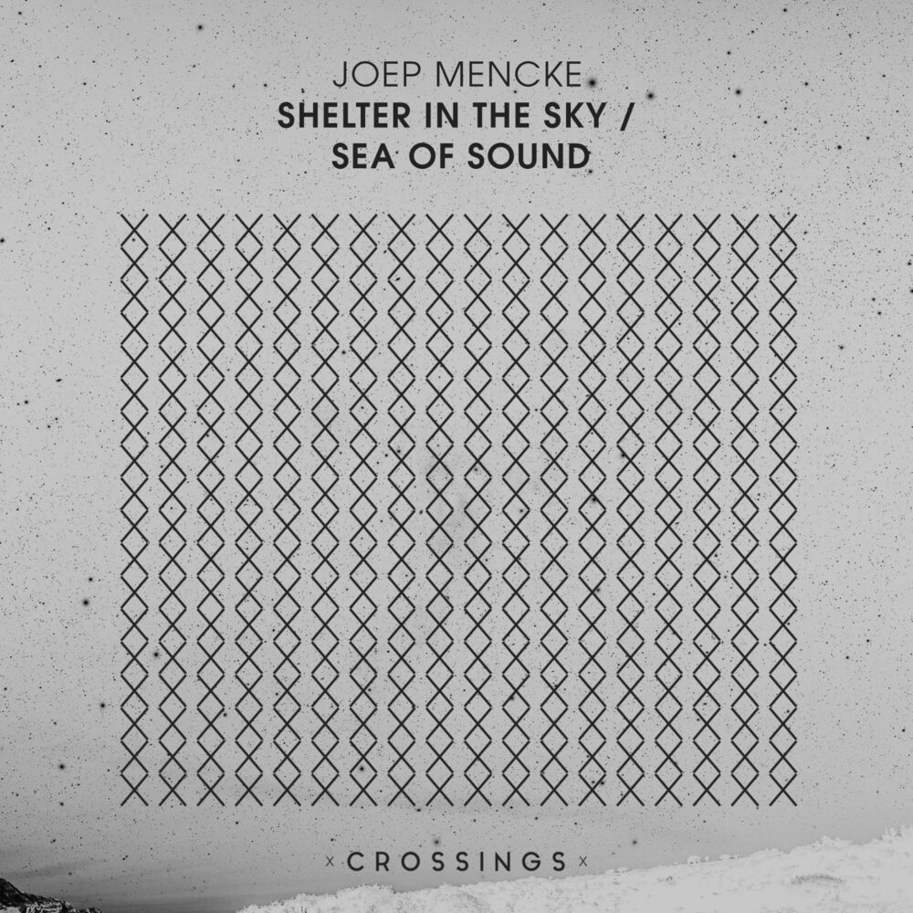 Picture of Shelter In The Sky / Sea Of Sound