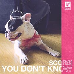 Cover of You Don't Know