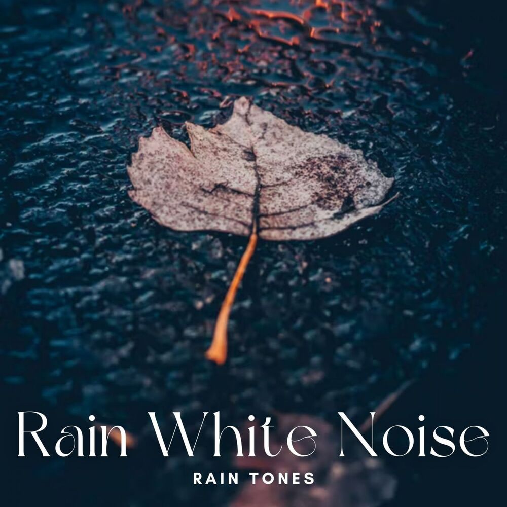 Picture of Rain Tones: Rain White Noise