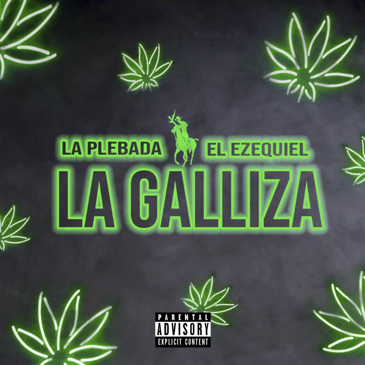 Album cover of La Galliza