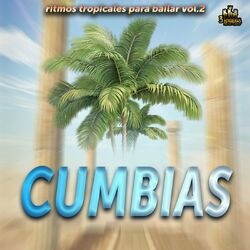Cover of Ritmos Tropicales Para Bailar Vol. 2