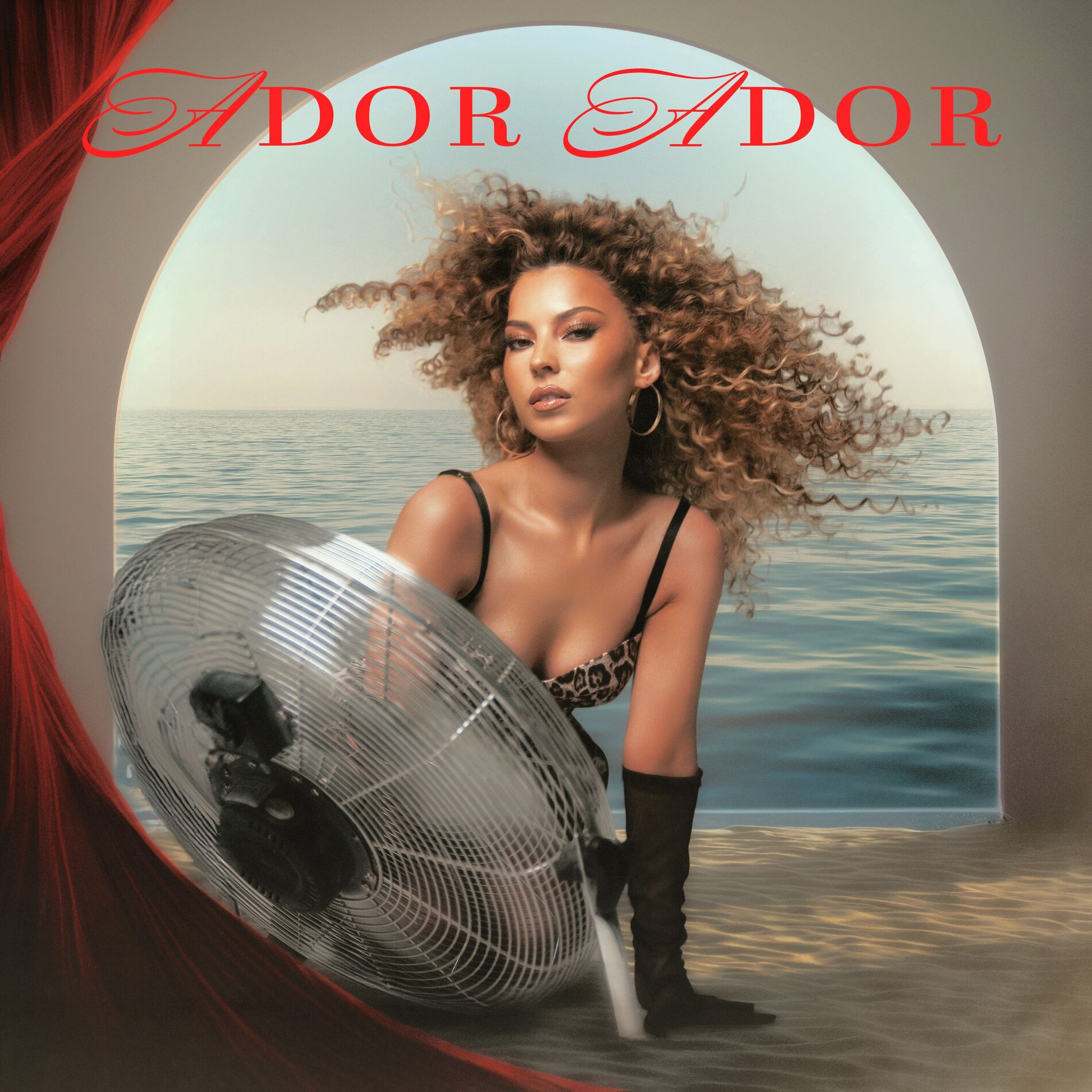 Album cover of Ador, Ador