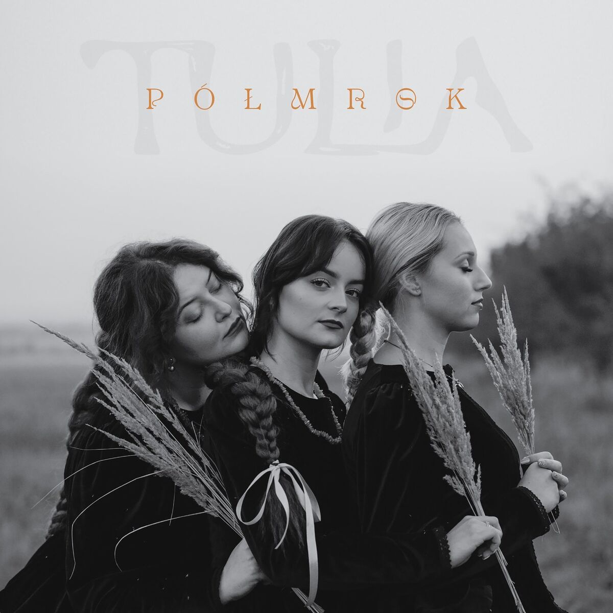 Album cover of Półmrok