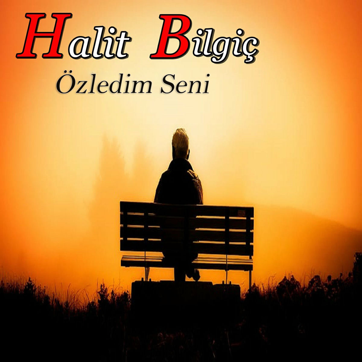 Album cover of Özledim Seni